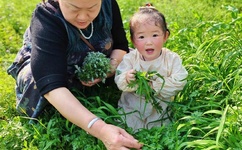 青青草人力资源